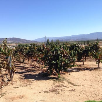 Grapeline Wine Tours - Wine Tours Near Me - Temecula, California