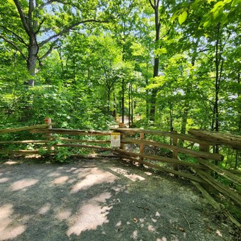 Tews Falls - Hiking Near Me - Dundas, Ontario