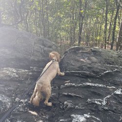Raven Rocks Hike