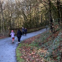 Milton Interurban Trail - Trail and protective fencing