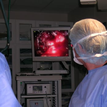 Iowa Veterinary Specialties - Laparoscopic surgery - Veterinarians Near Me - Des Moines, Iowa Iowa Veterinary Specialties - Laparoscopic surgery - Veterinarians Near Me - Des Moines, Iowa