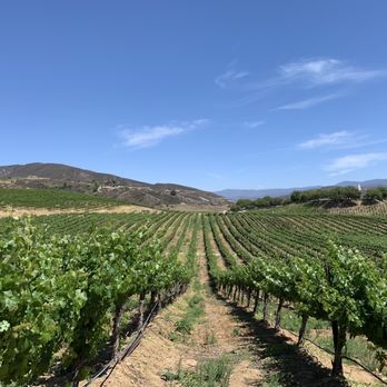Leoness Cellars - Winery/ Vines - Venues & Event Spaces Near Me - Temecula, California Leoness Cellars - Winery/ Vines - Venues & Event Spaces Near Me - Temecula, California