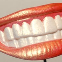 Sandra Embree, DDS