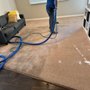 Photo of Ocean Carpet Cleaners