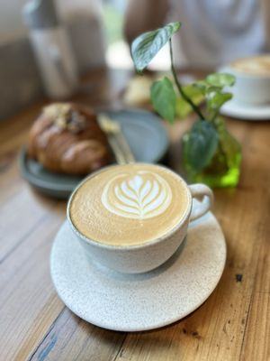 Magdalena Coffee & Houseplants by null
