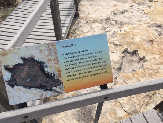 Clayton Lake State Park and Dinosaur Trackways by null