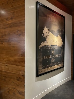 American Express Centurion Lounge by null