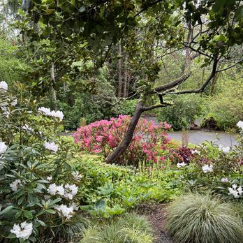 Bellevue Botanical Garden - Botanical Gardens Near Me - Bellevue, Washington