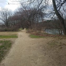 Carrier Park