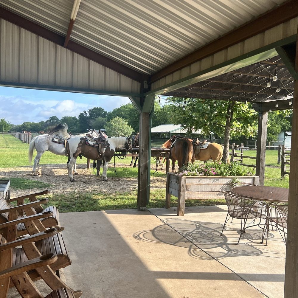 Brazos Bluffs Ranch - Beautiful 5/22/26 - Horseback Riding Near Me - Waco, Texas Brazos Bluffs Ranch - Beautiful 5/22/26 - Horseback Riding Near Me - Waco, Texas