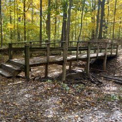 Marott Park - One example of how the Preserve becomes inaccessible for wheelchair users.