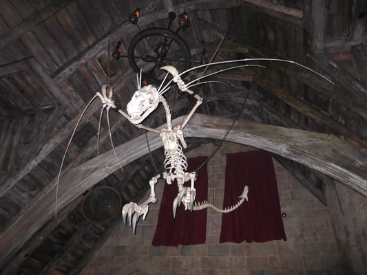 Harry Potter and the Forbidden Journey by null