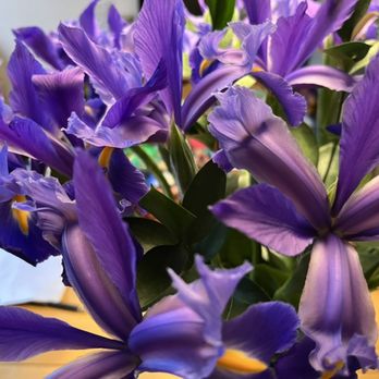 Q Florist - Florists Near Me - New York, New York Q Florist - Florists Near Me - New York, New York