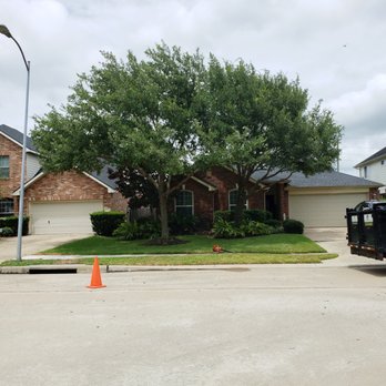 Servins Tree Care - We provided the fallowing service - lower crown elevation and end weight reduction. - Prune cross over and damaged branches and deadwood. - Tree Services Near Me - Houston, Texas Servins Tree Care - We provided the fallowing service - lower crown elevation and end weight reduction. - Prune cross over and damaged branches and deadwood. - Tree Services Near Me - Houston, Texas