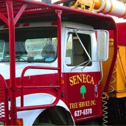 Seneca Tree Service