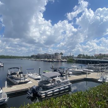 Everglades Excursions - Tours Near Me - Naples, Florida Everglades Excursions - Tours Near Me - Naples, Florida