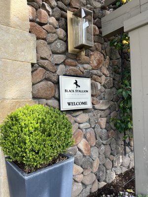 Black Stallion Estate Winery by null