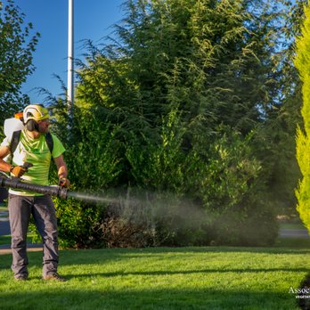 Associated Arborists - Tree Services Near Me - Mcminnville, Oregon