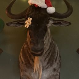 One of the many taxidermied goats One of the many taxidermied goats
