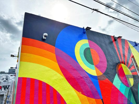 Wynwood Walls by null