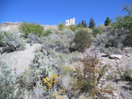 Idaho Botanical Garden by null