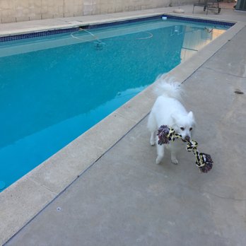 iPools Service & Repairs - undefined - Pool & Hot Tub Service Near Me - Rolling Hills Estates, California
