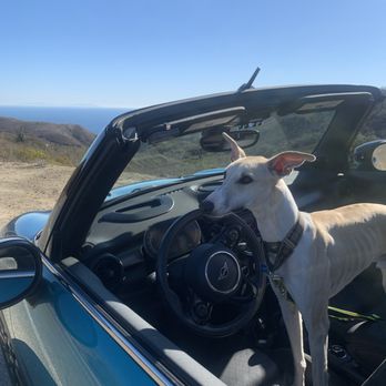 Bob Smith MINI - Jack going with the air flow in the Mini Cooper, Malibu, CA. - Car Dealers Near Me - Calabasas, California Bob Smith MINI - Jack going with the air flow in the Mini Cooper, Malibu, CA. - Car Dealers Near Me - Calabasas, California
