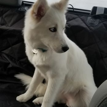Petco - Pet Stores Near Me - Indianapolis, Indiana