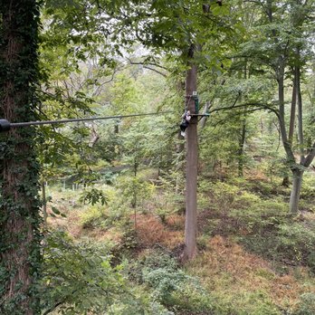 Treetop Quest Philly - Amusement Parks Near Me - Philadelphia, Pennsylvania
