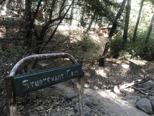 Sturtevant Camp by null