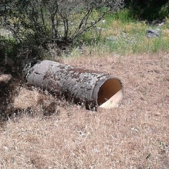 Mokelumne Coast to Crest Trail - Hiking Near Me