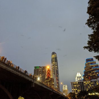 Bats Under the Congress Avenue Bridge - Landmarks & Historical Buildings Near Me - Austin, Texas