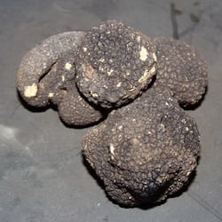 Salve - Mmmhh! Schwarze Trüffeln!