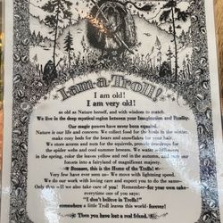 Something Special Gift Shop - Trolls plaque