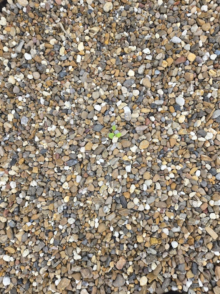 Slide of John W Shaw Paint & Remodeling