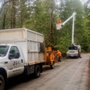 Photo of J & J Tree Service