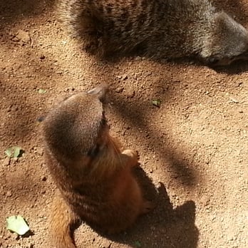 Honolulu Zoo - Zoos Near Me - Honolulu, Hawaii
