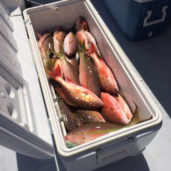 Mystic Rose Fishing Charters - Nothing better than a full cooler - Fishing Near Me - Jupiter, Florida Mystic Rose Fishing Charters - Nothing better than a full cooler - Fishing Near Me - Jupiter, Florida