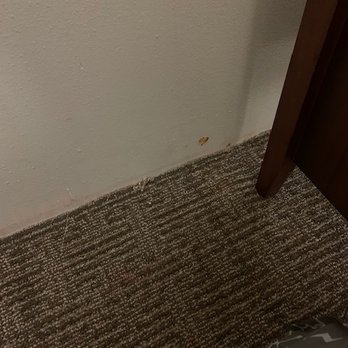 Comfort Suites - Hotels Near Me - Buda, Texas Comfort Suites - Hotels Near Me - Buda, Texas