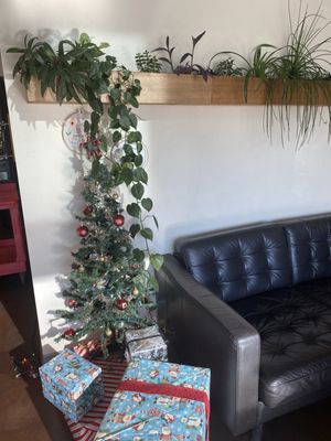 Pablo's Coffee - East Colfax by null