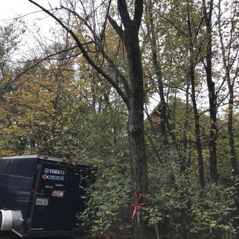 Precise Tree Care - Tree Services Near Me - Frankfort, Illinois