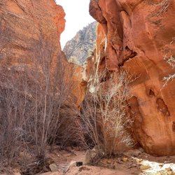 Red Hollow Slot Canyon - Trail