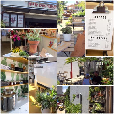 Communal Coffee by null