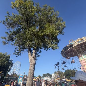 Minnesota State Fair - Festivals Near Me - Saint Paul, Minnesota Minnesota State Fair - Festivals Near Me - Saint Paul, Minnesota