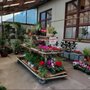 Photo of Bokay Nursery