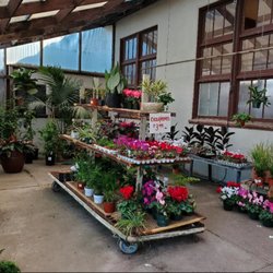 Bokay Nursery