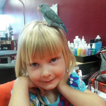 Birds N Paradise - My lil girl and her baby parrolett - Bird Shops Near Me - Menifee, California