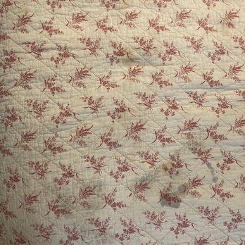 Dolphin Cove Motel - Stained bedspread - Hotels Near Me - Pismo Beach, California