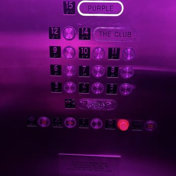 Mr. Purple - Lounges Near Me - New York, New York Mr. Purple - Lounges Near Me - New York, New York