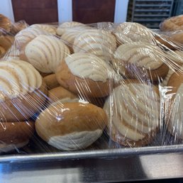 Conchas Conchas
